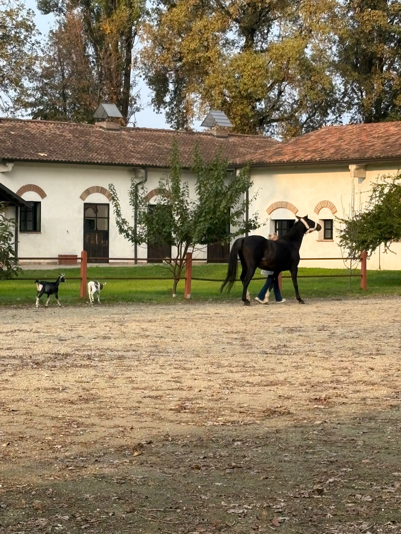 Cascina Gufa — ingresso con cavalli e capre