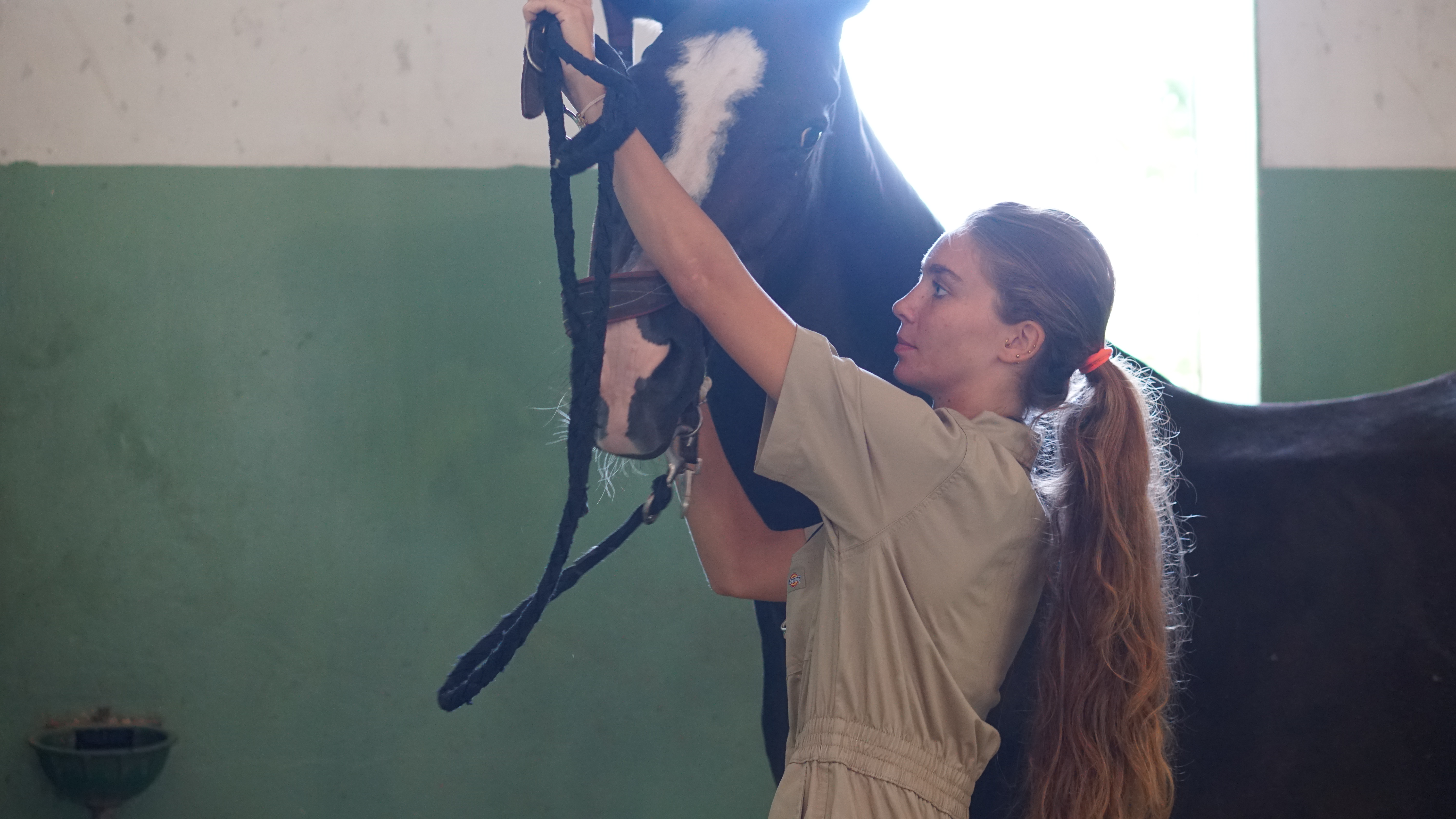 Studentessa con cavallo in clinica